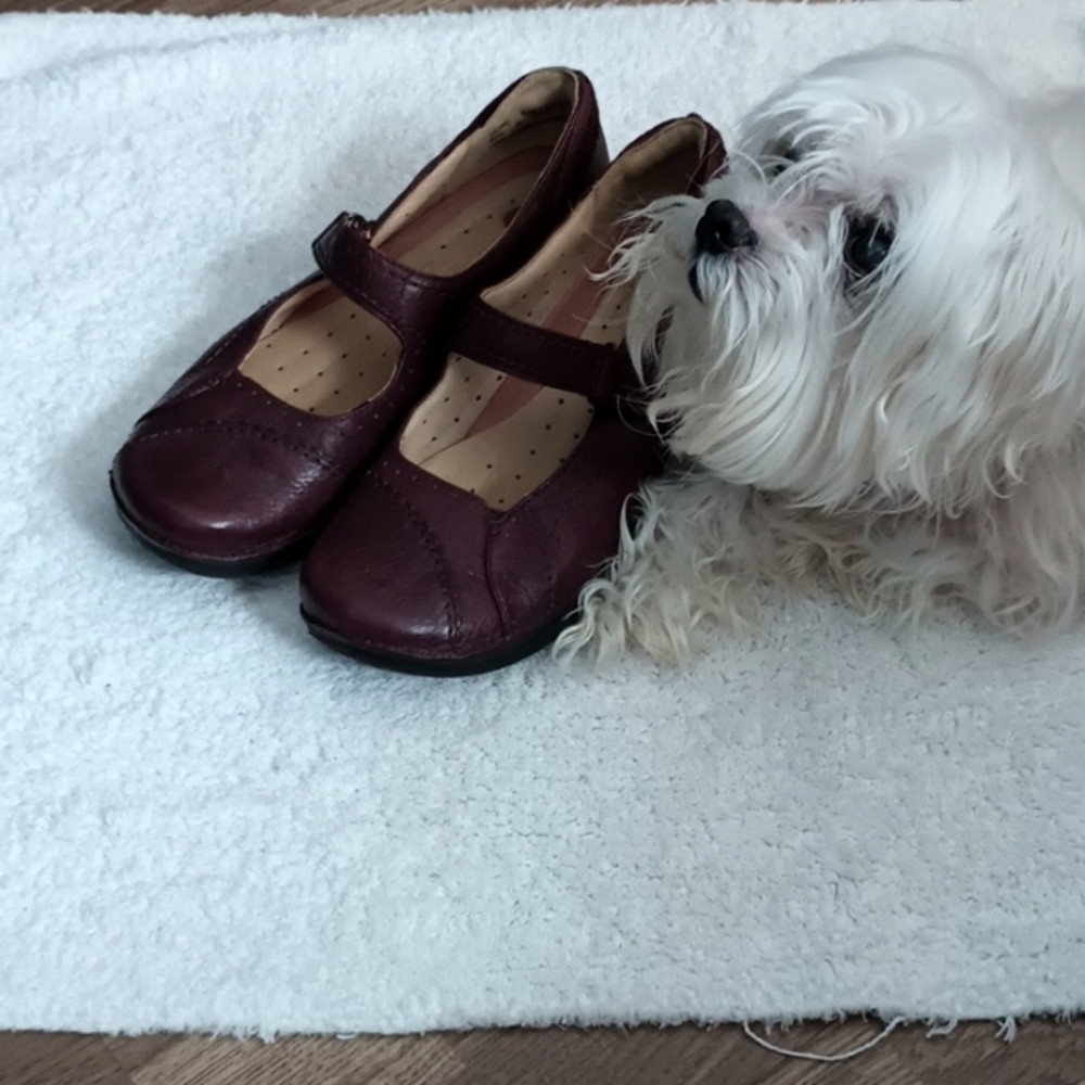 Ladies Clark Shoes